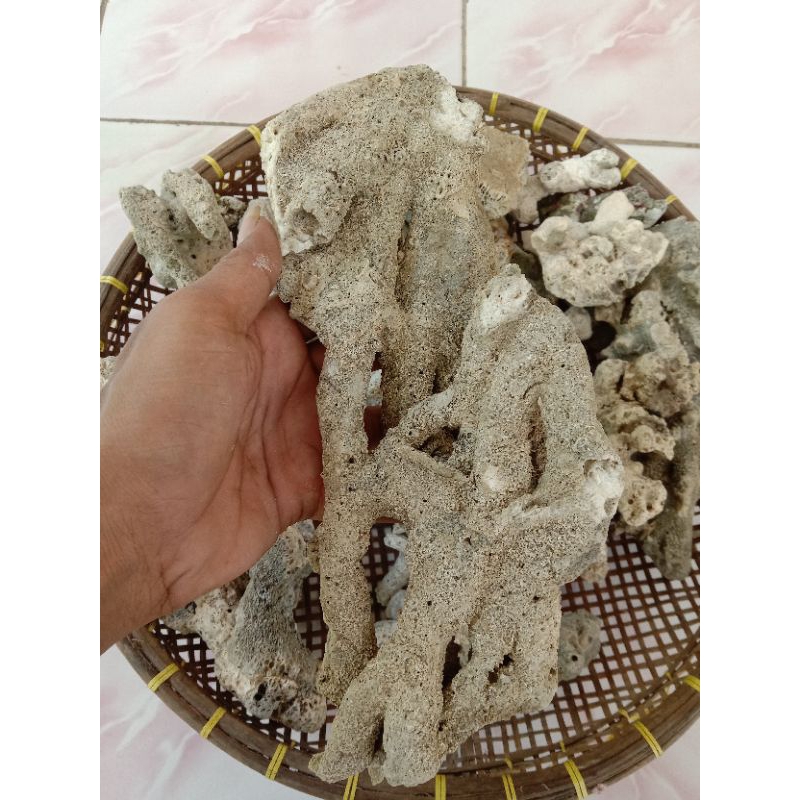 Batu hias aquascape batu karang laut