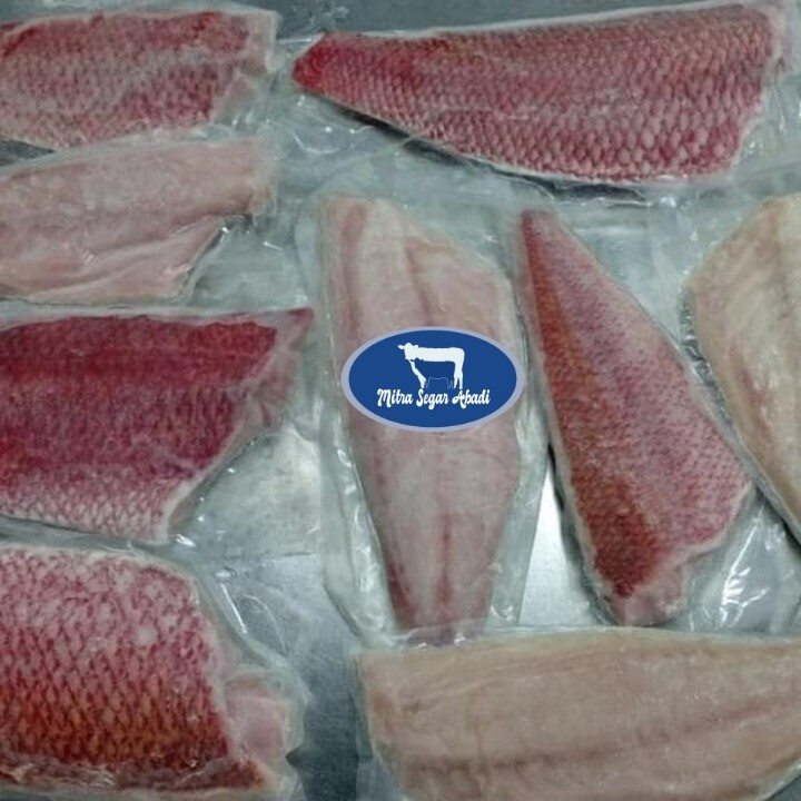 

Ikan Kakap Fillet @1kg