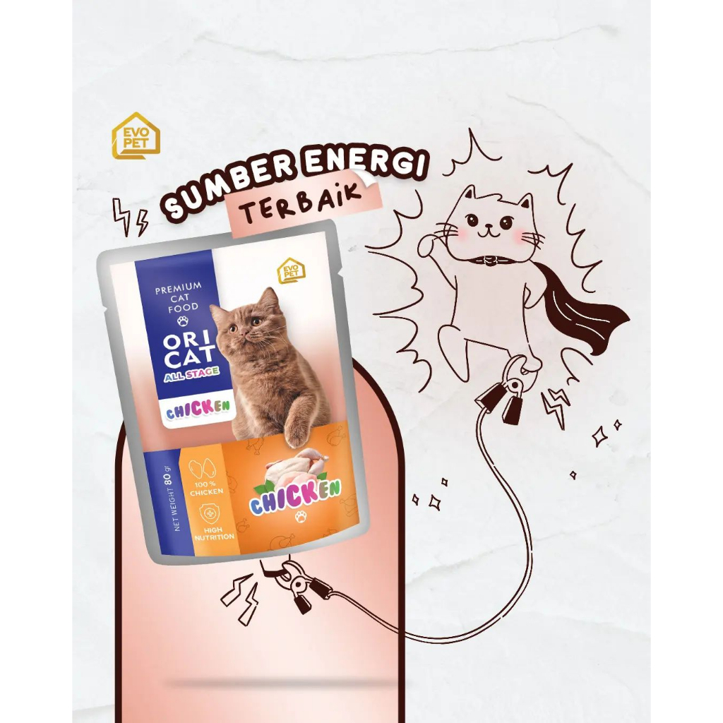 Oricat Pouch 80 gram Ori Cat Makanan Kucing Basah Kemasan Sachet Wetfood