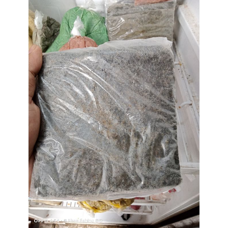 umpan Galatama lele magot