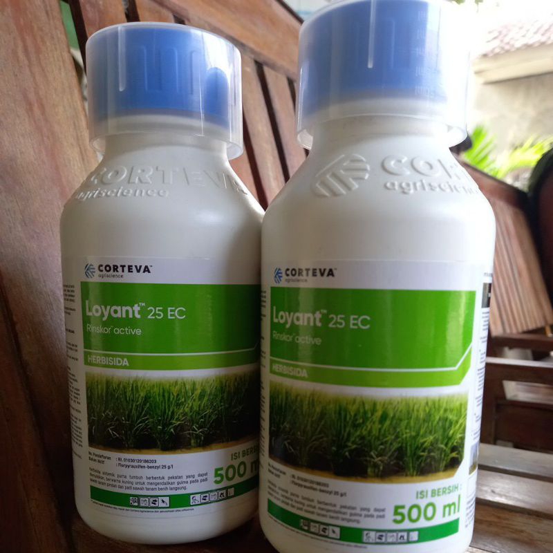 Herbisida Loyant 500 ml