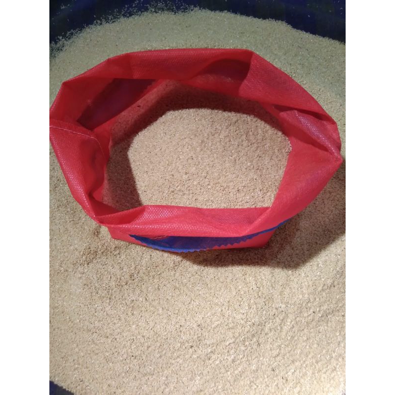 Telur jangkrik alam 1 kg