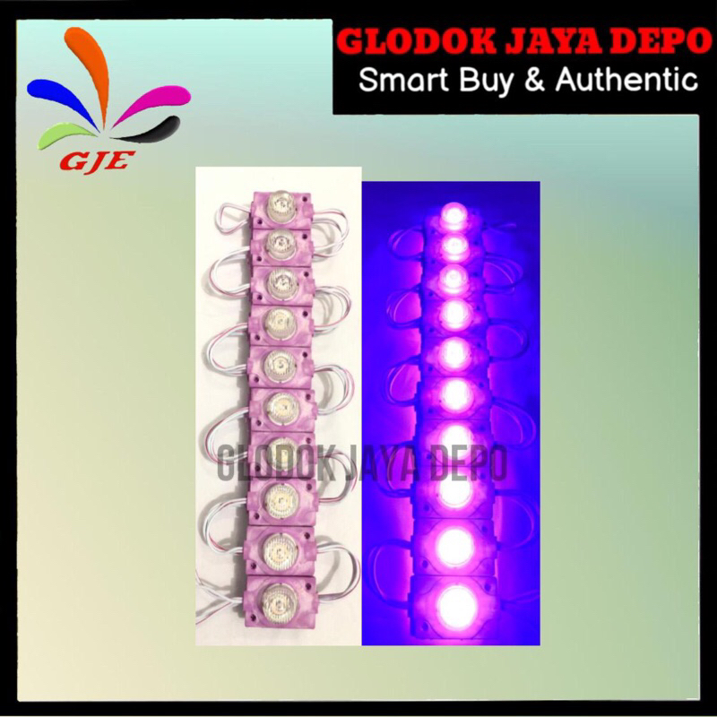 LAMPU LED JUMBO 12V 1MATA 1,5W UNGU