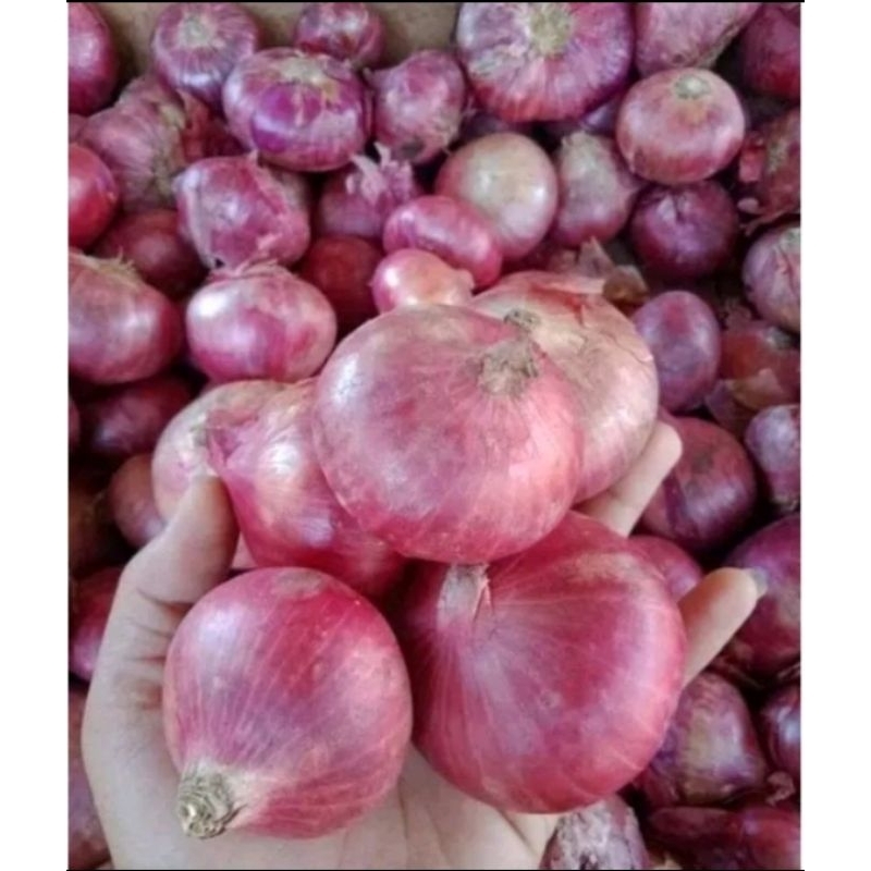 

Bawang Merah 1/4kg 1/2kg 1ons 1kg Ecer Siap Kirim Bisa Cod