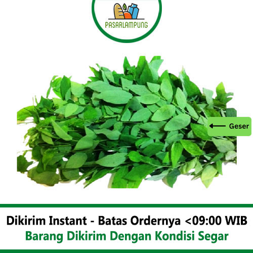 Daun Katuk Segar Per Ikat Pasar Lampung