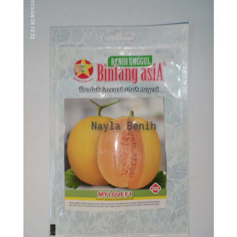 Benih Melon Golden MY LOVE F1