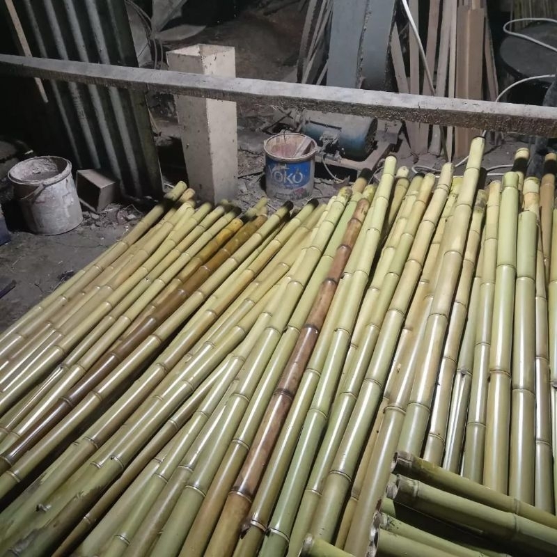 10 batang tongkat Pramuka bambu cendani