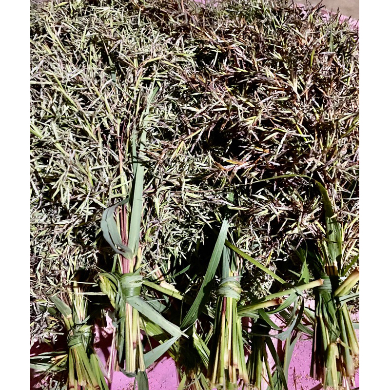 

Bunga serai wangi per ikat isi 20 helai