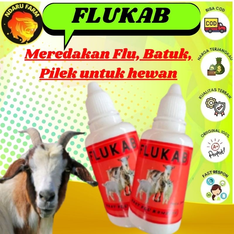 Obat Flu Hewan meredakan flu batuk pilek yang diformulasikan khusus untuk kambing domba babi NDARUFR