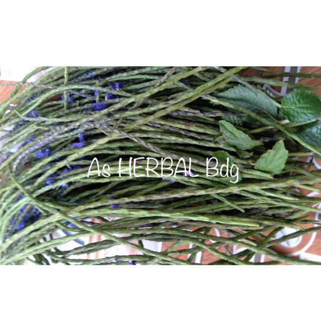 

Bunga jarong / bunga pecut kuda segar 250 gram-az