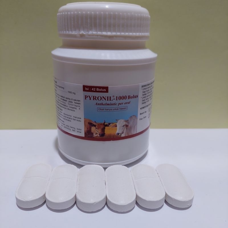 pyronil 1000mg [obat cacing sapi]~1 biji/ 1 bolus