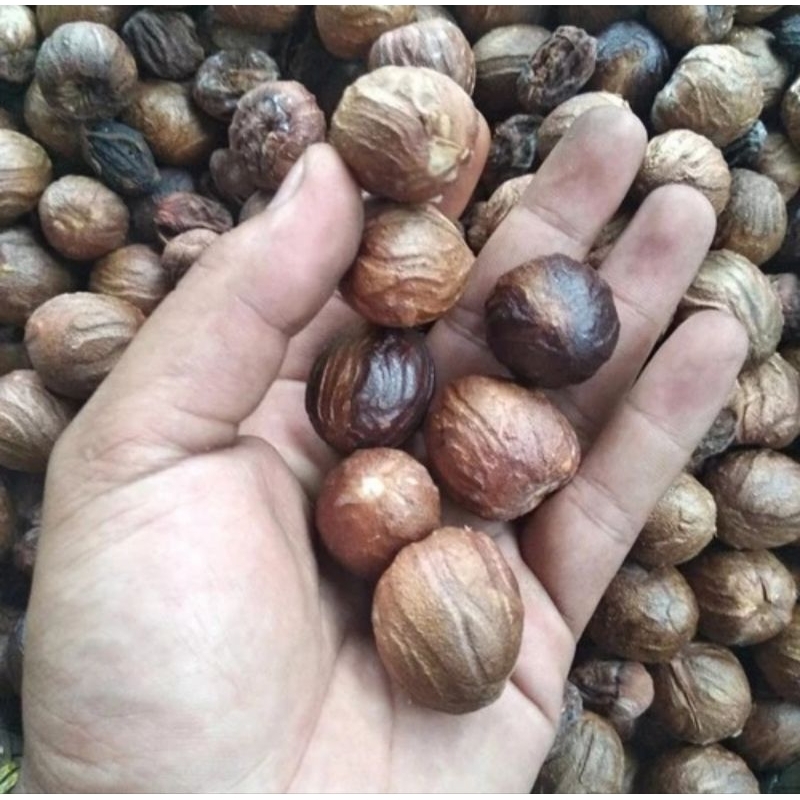 

Biji buah pala kering 500 gram, Grade A, rempah bumbu masak, asinan a