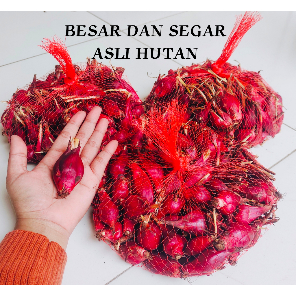 Bawang Dayak Organik Segar 1kg Herbal Asli Kalimantan Garansi Original
