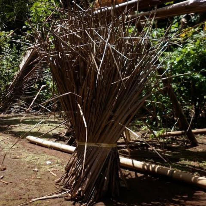 

daun kelapa kering1kg