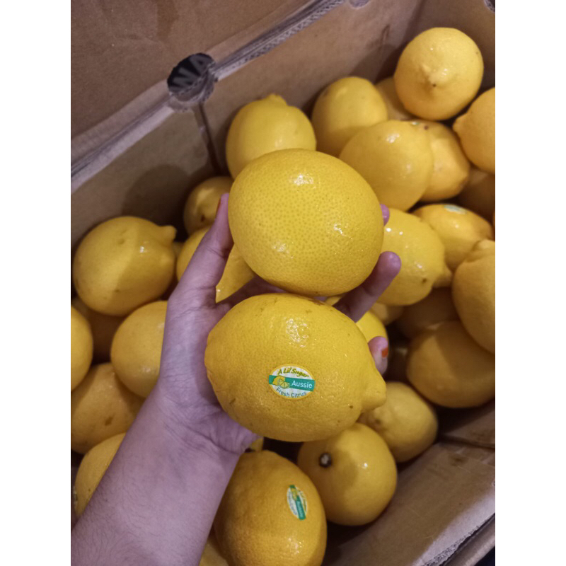 

LEMON IMPORT. JERUK LEMON. FRESH LEMON SEGAR FRESH IMPOR
