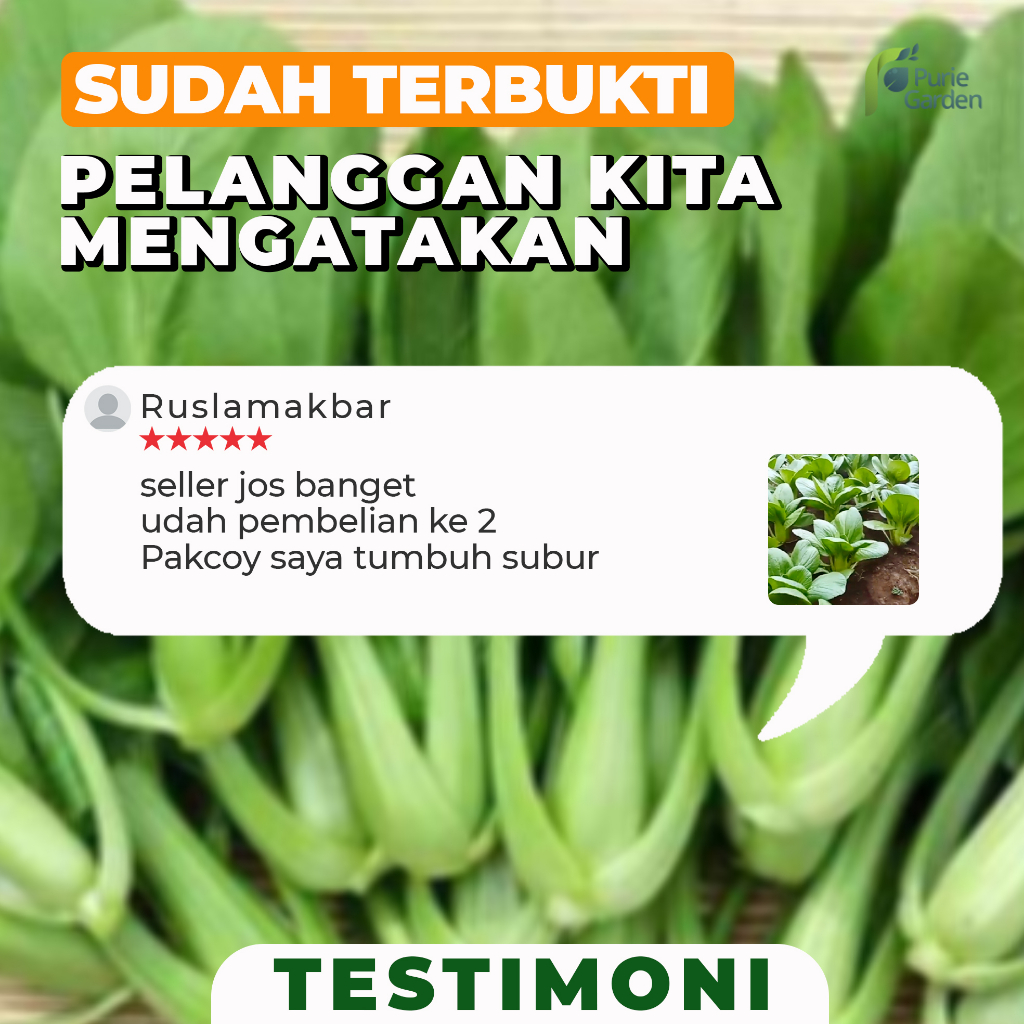 Benih Bibit Biji Unggul Sawi Pakcoy 125 Benih PG KDR