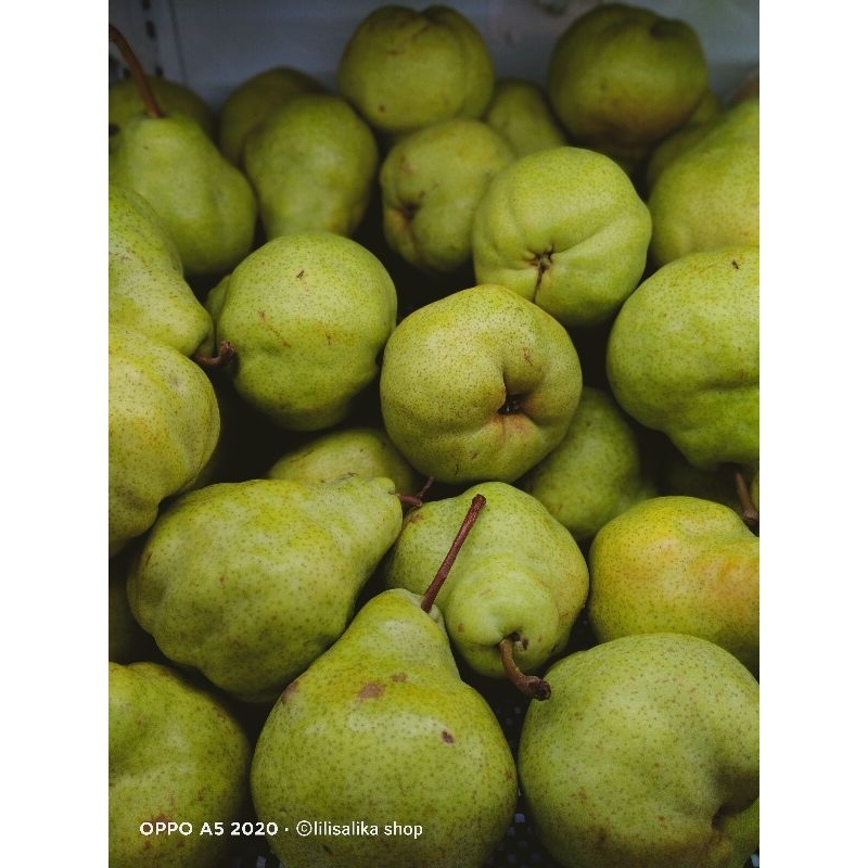

PEAR PACKHAM/PEAR HIJAU/PIR JAMBU MANIS