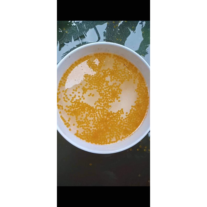 telor gurame padang 500 - 2000 butir