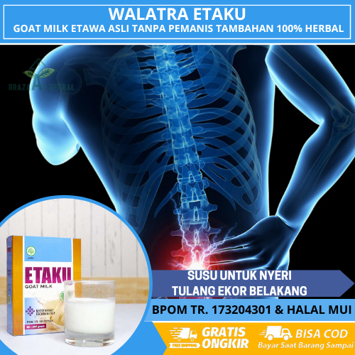 Susu Buat Nyeri Tulang Ekor, Nyeri Tulang Belakang, Cedera Tulang Ekor, Syaraf Kejepit DI Tulang Eko