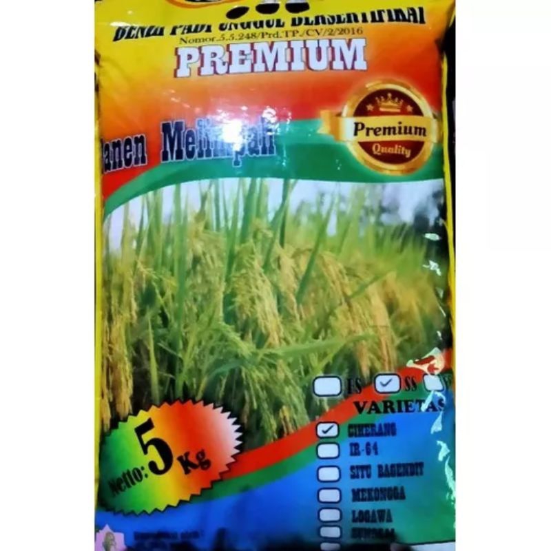 BENIH PADI JUMBO PREMIUM  CIHERANG 5KG