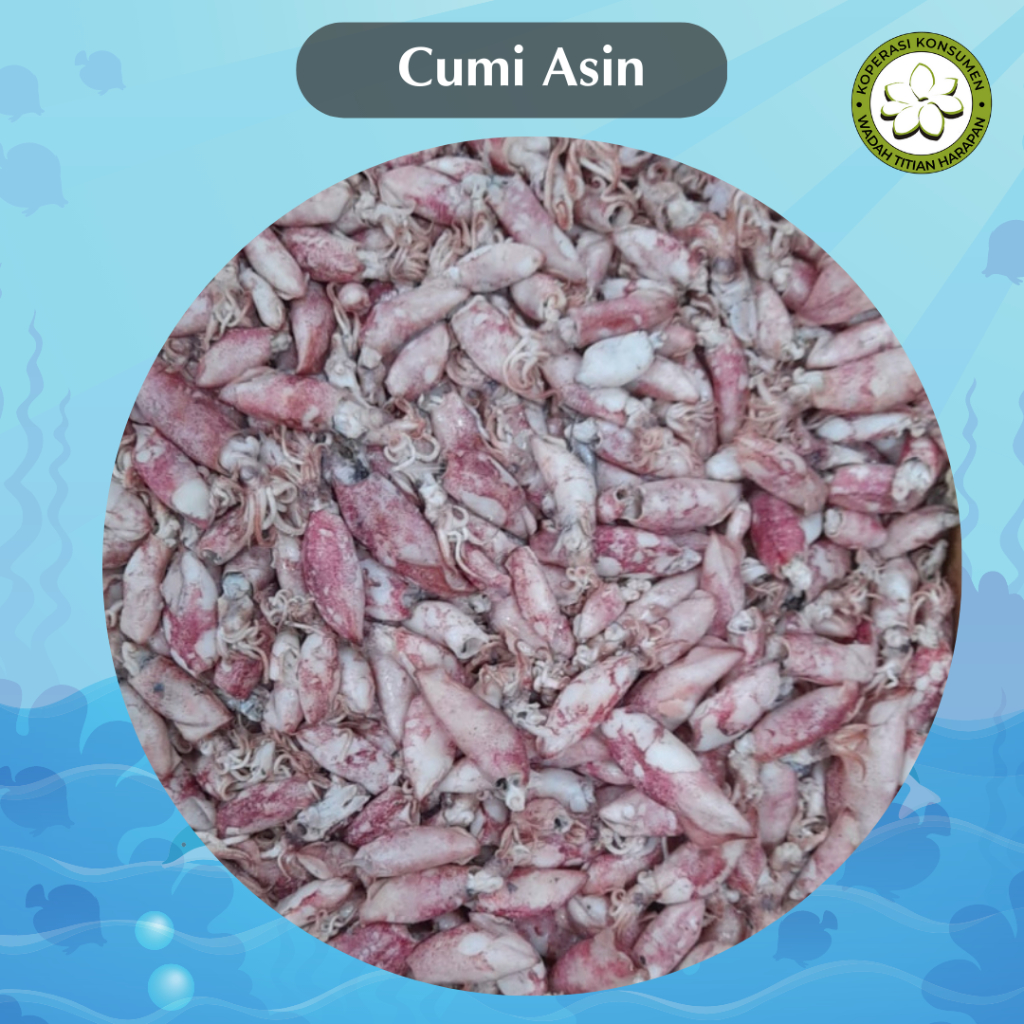 

Cumi Asin Berkualitas 1 Kg