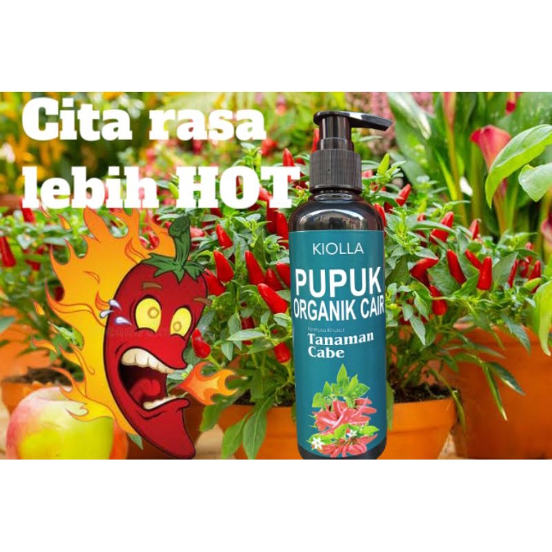 pupuk tanaman cabai kiolla 250 ML