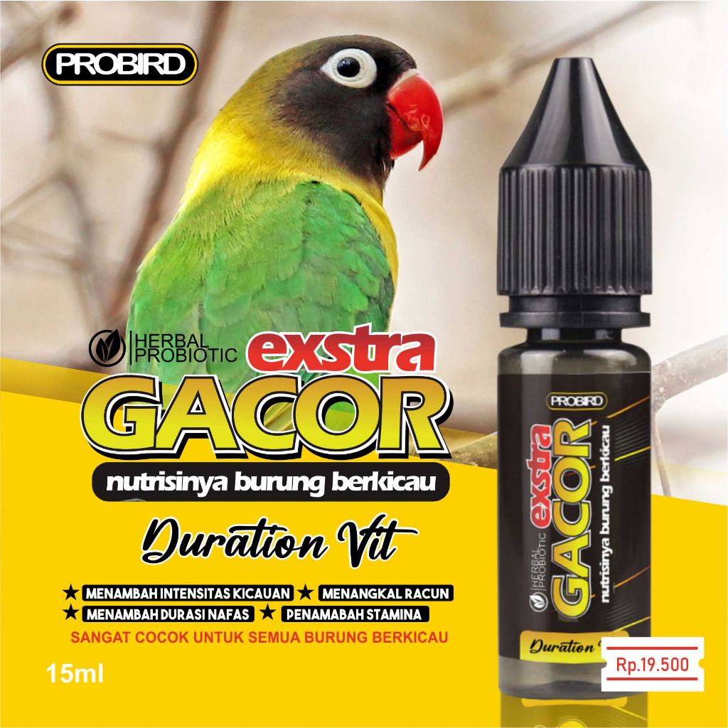 EXTRA GACOR LOVEBIRD