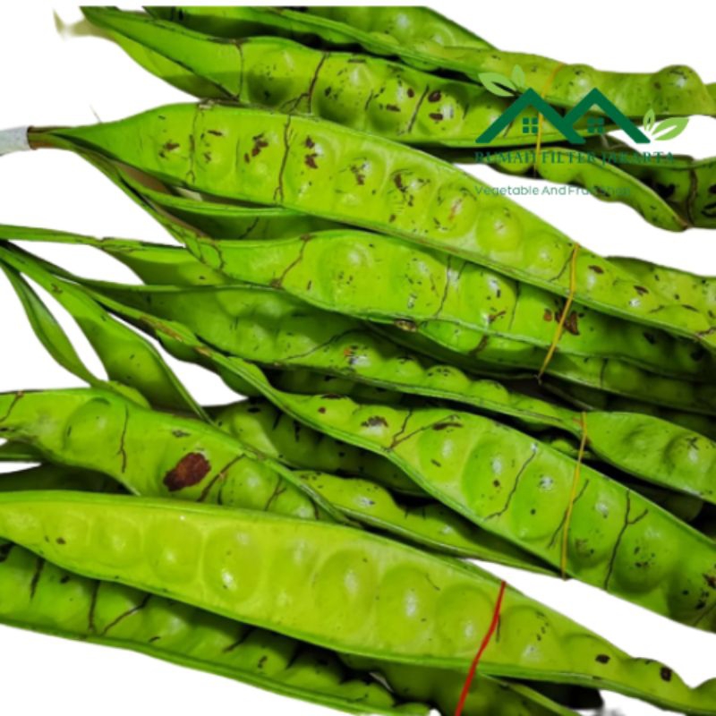 

Pete Hijau Super Segar