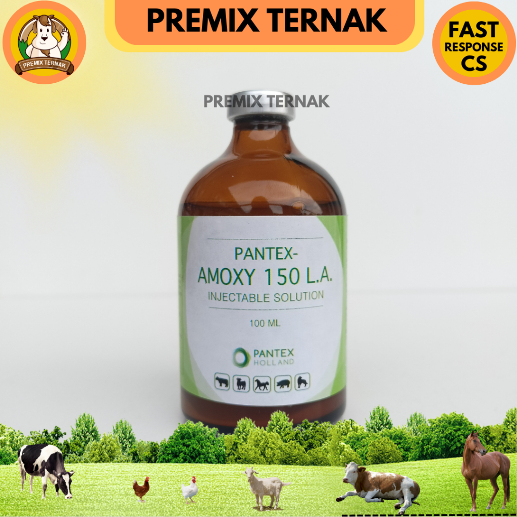 PANTEX AMOXY LA 150 100 ml - Amoxy LA 100 ml - Mirip Betamox 100 ml