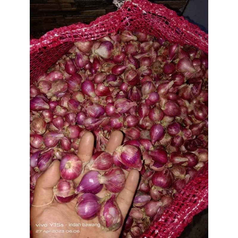 

Bawang Merah berat 500 gram