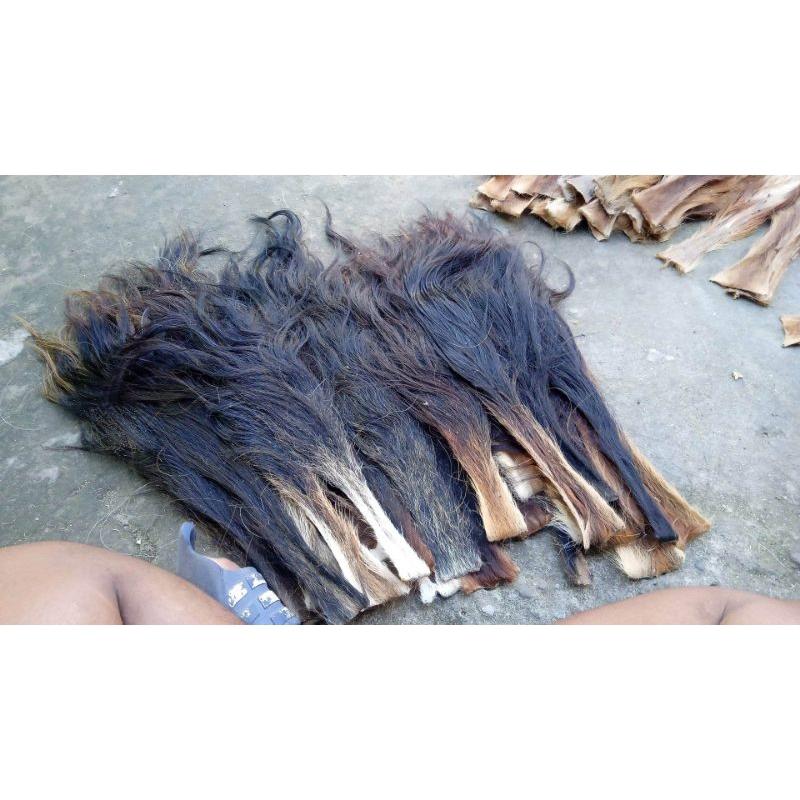 EKOR SAPI KERING / RAMBUT SAPI SUPERR