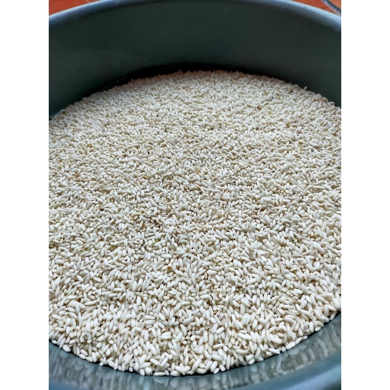 

Beras ketan 1 liter asli subang