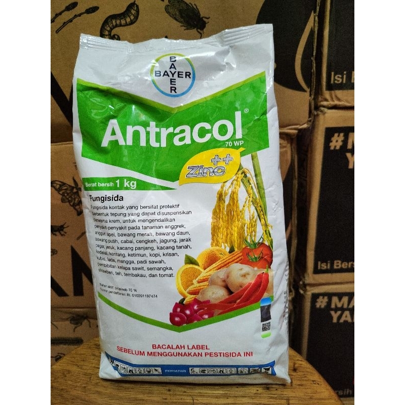 Antracol 70 WP 1 KG