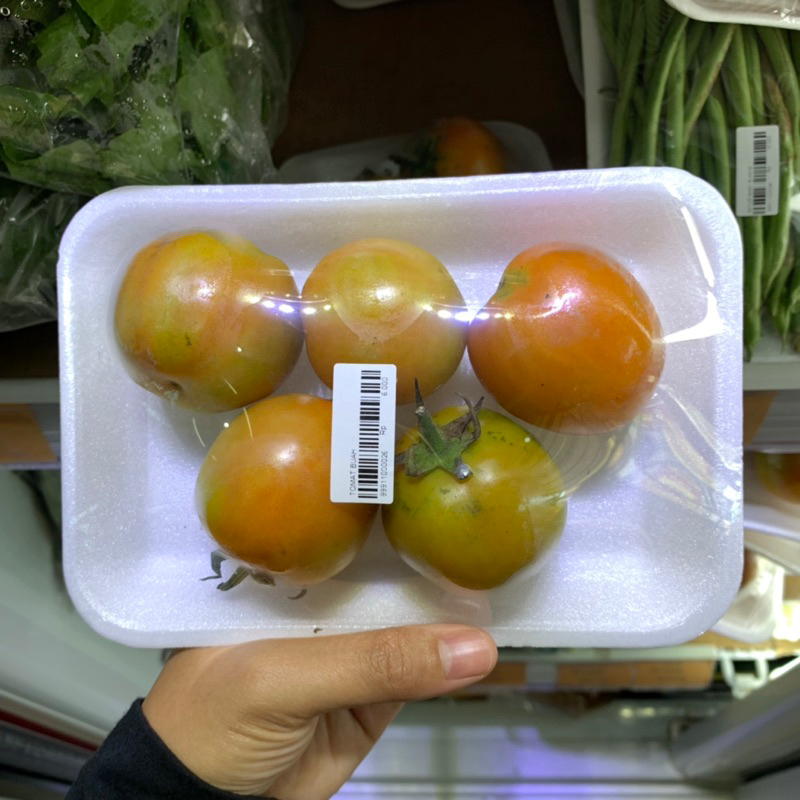 

Tomat Buah