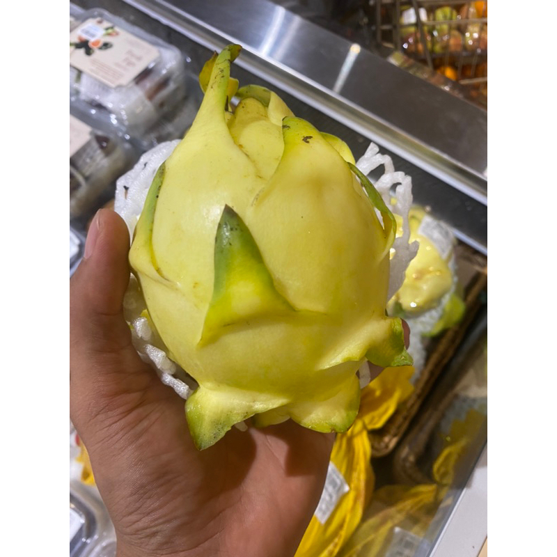 

Buah naga kuning | Dragon fruit yellow lokal jumbo 1 kg