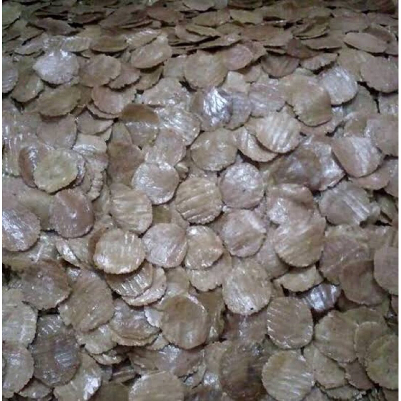 

Kemplang mentah original ikan asli palembang