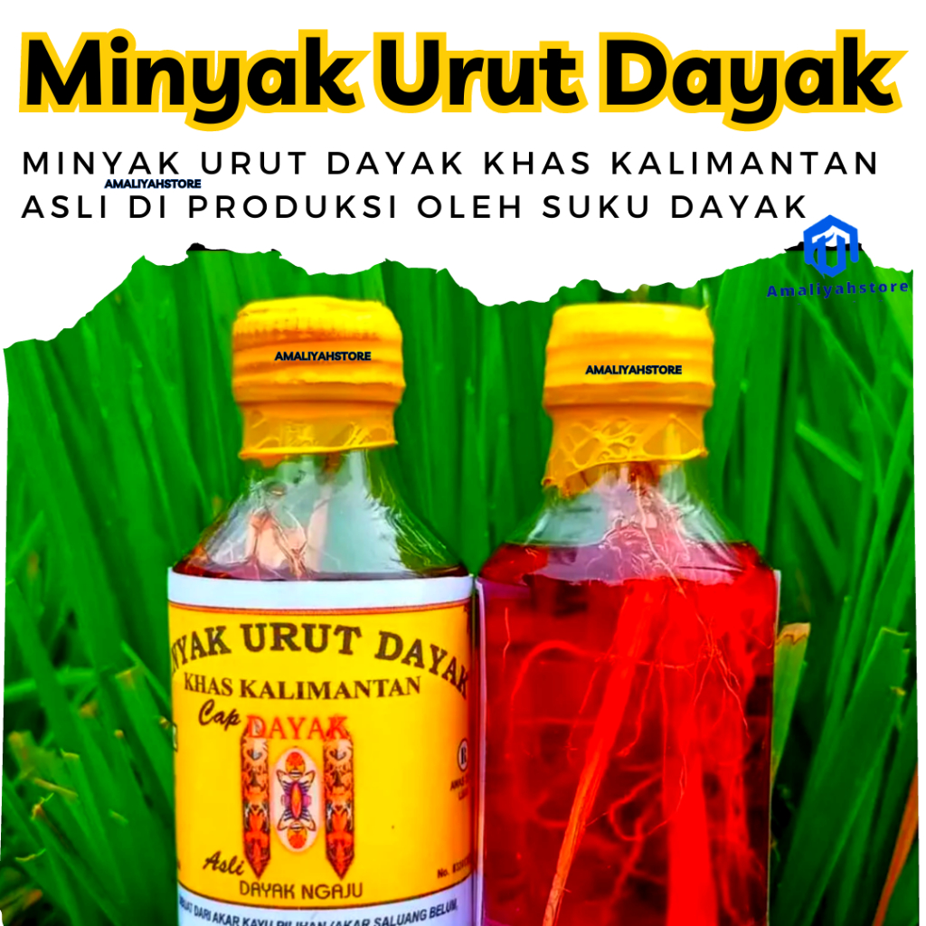 Minyak Urut Ibu Ida Dayak Bintang Perisai Borneo Obat Asam Urat Keseleo Patah Tulang Masuk Angin Herbal Paling Ampuh Asli Kalimantan 100% Original