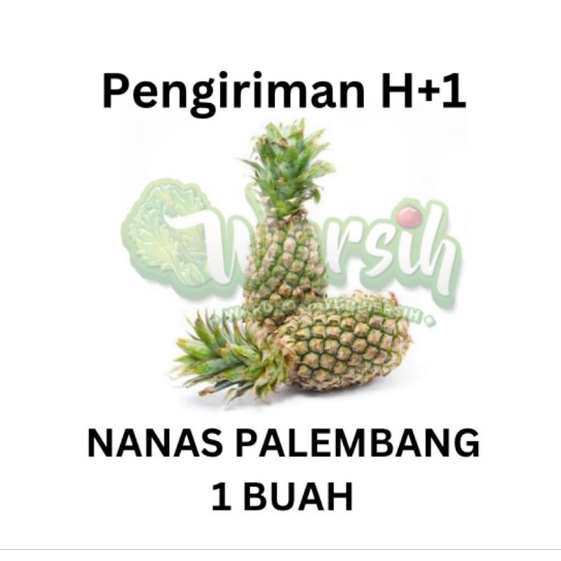 

WARSIH • NANAS PALEMBANG 1 BUAH