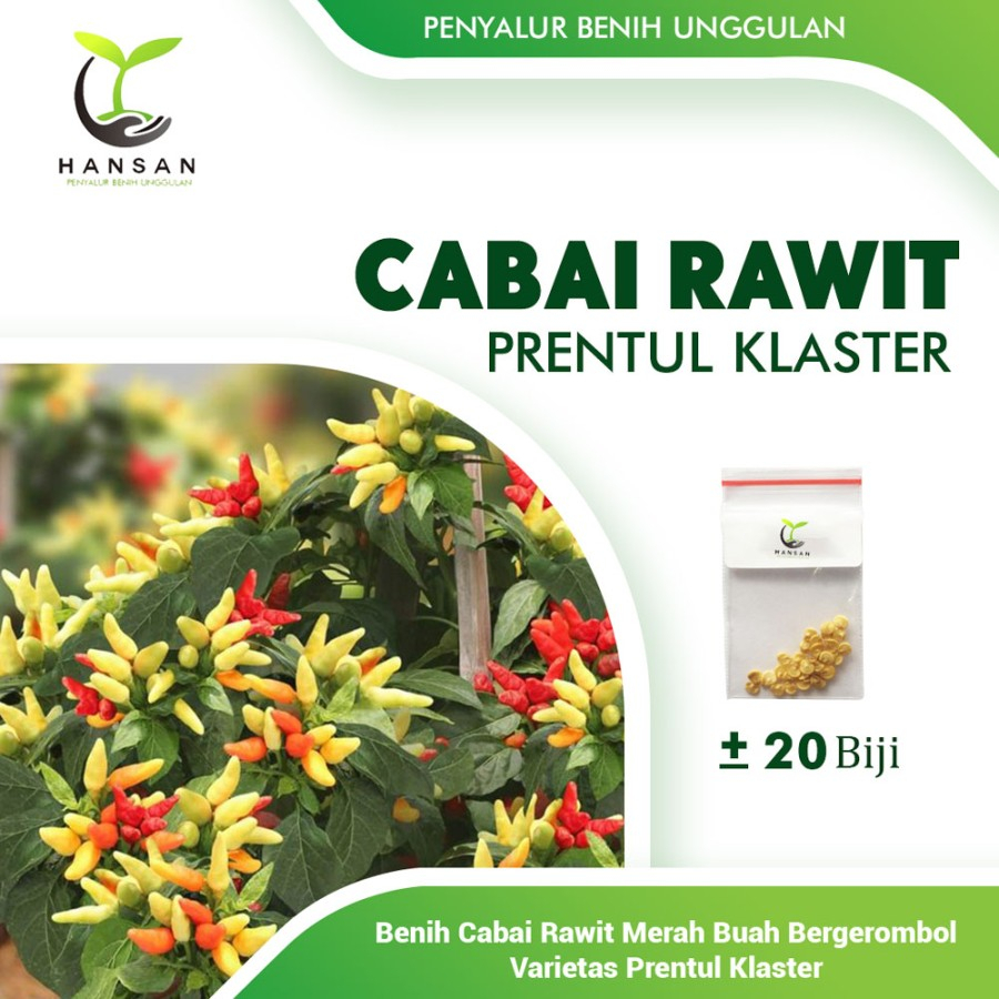 20 Bibit Cabe Rawit Prentul Klaster Benih Cabai Rawit Merah Viral