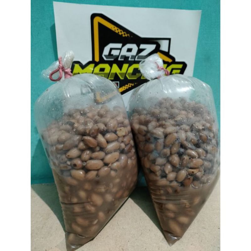 KACANG PRESTO UMPAN MANCING IKAN UMPAN BAWAL GALATAMA 100Gram