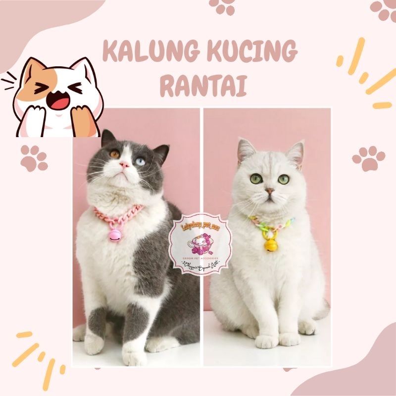 KALUNG KUCING RANTAI LONCENG UFO 22MM