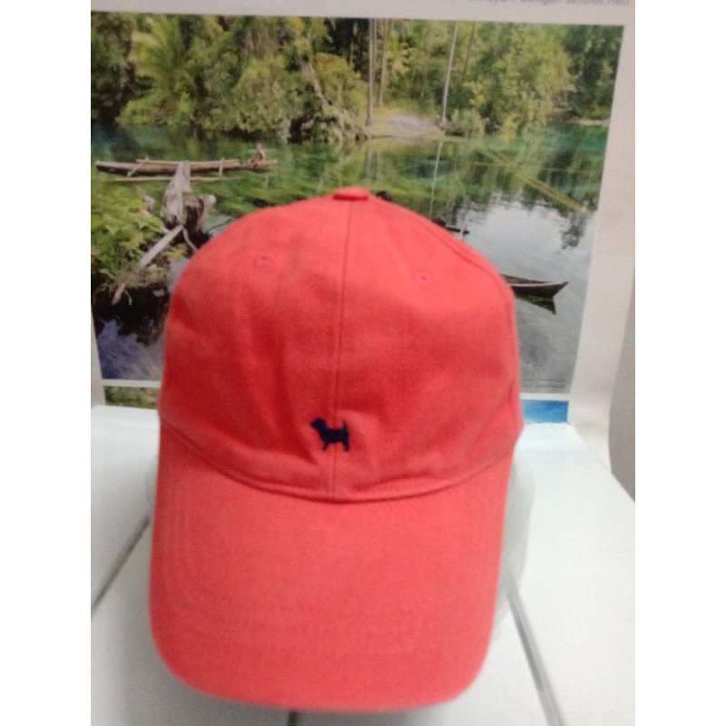 Topi Anak bluedog Original preloved second