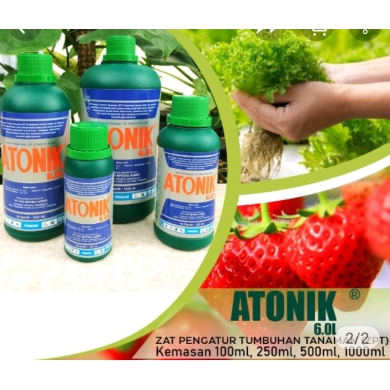 Atonik ZPT 100ml