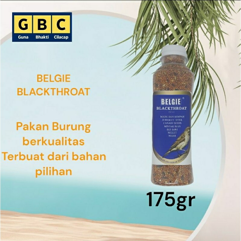 Belgie Blackthroat /Pakan Burung