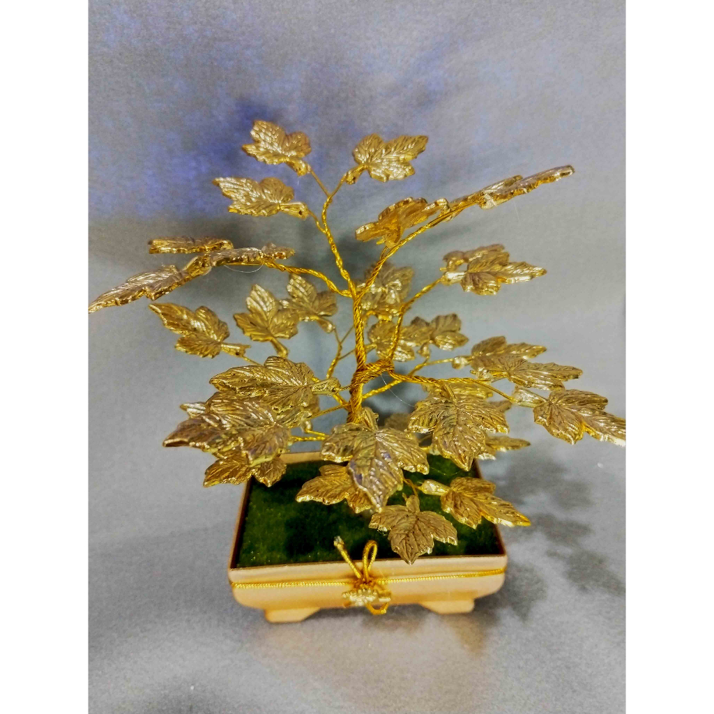 Bonsai Arbei Besar Gold Series Pot segi Gold- Pajangan Bonsai cantik