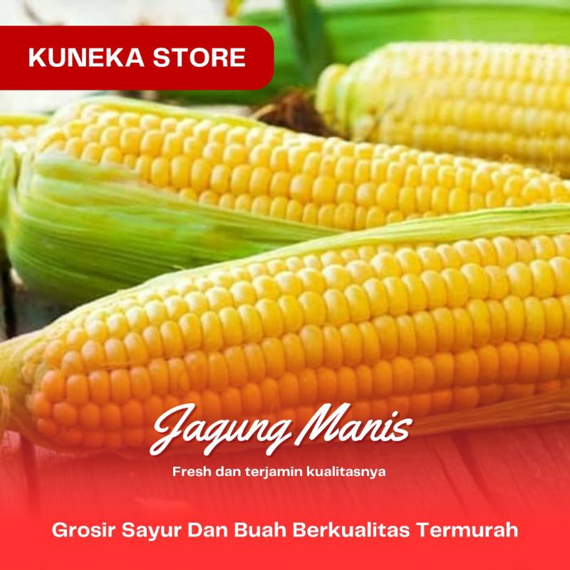 

JAGUNG MANIS SEGAR SAYUR 1 BUAH FRESH