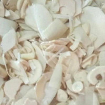 

Rebung tunas bambu muda 500gr