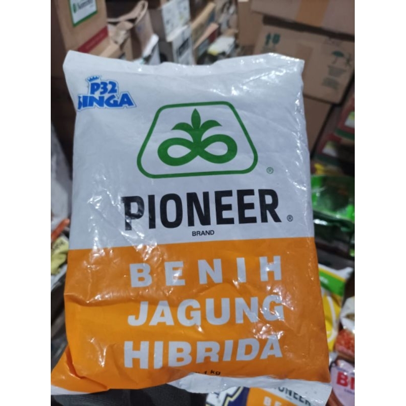 Benih Jagung Pioneer P32 Singa