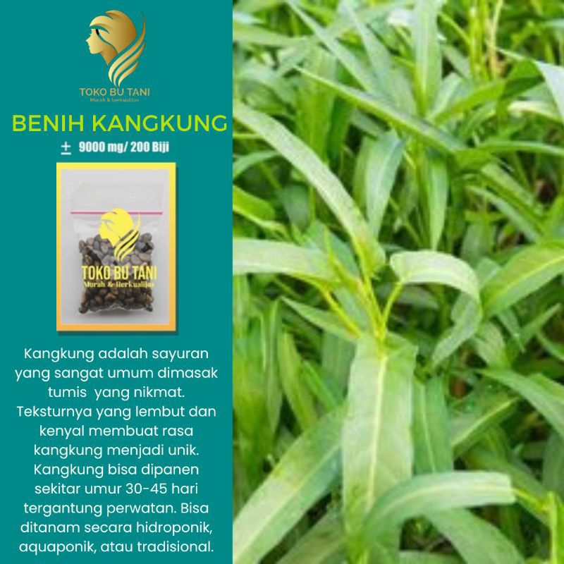 Benih Kangkung Sayuran Hidroponik Hijau Unggul Bibit Sayuran Repack Berkualitas