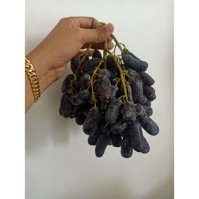 

anggur saphier 900-1000 grm